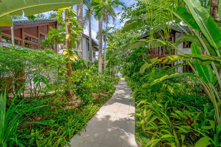 Cottonwood-IDLE-AWHILE-2