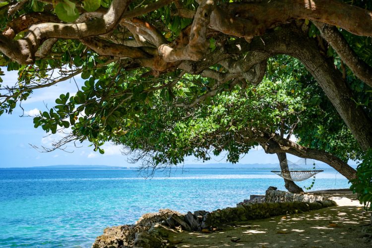 Hammock-2-1