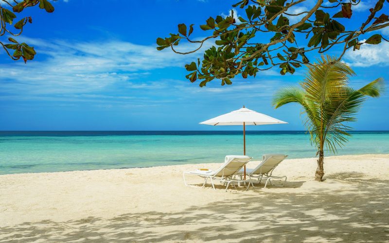 MANGO-IDLEAWHILE-2-1