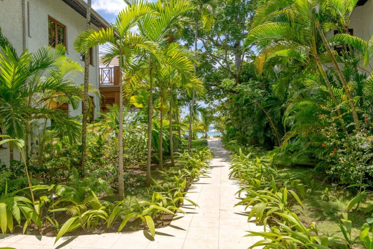 Naseberry-IDLE-AWHILE-1