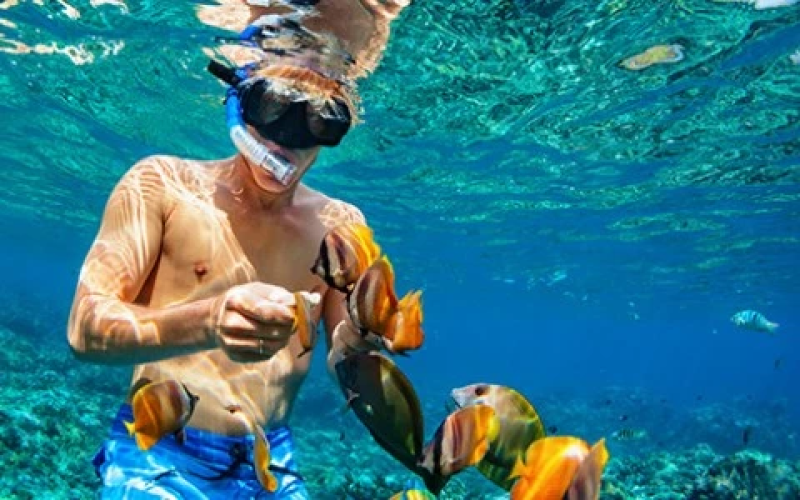 idleawhile-04-thevillas-05-thingstodo-02-activities-04-snorkeling-62bc9343cf954-480x300