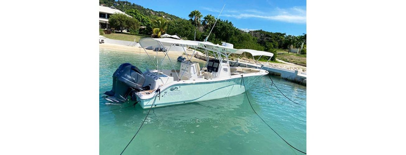 rivendell-beach-boat-jamaica-whitehouse