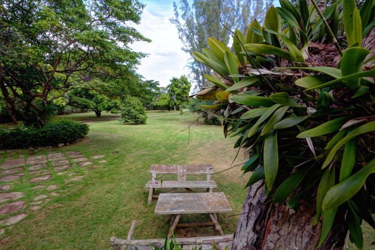 sea-haven-discovery-bay-13