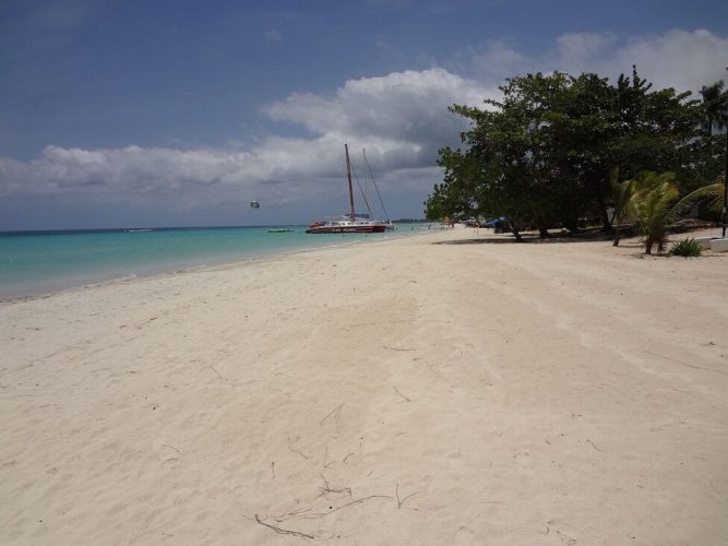 seagrape-idle-awhile