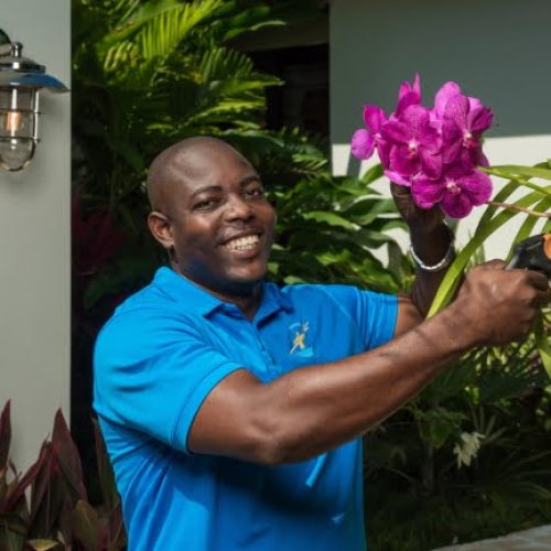 thumbs_Aqua-Bay-sheldon